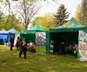 Jarmark Św. Wojciecha i Festyn Leśny 2014 Jarmark Św. Wojciecha i Festyn Leśny 2014