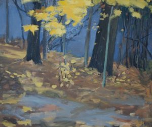 pt. Zielono mi! Środowisko przyrodnicze Ciechanowca w malarstwie poplenerowym. pt. Zielono mi! Środowisko przyrodnicze Ciechanowca w malarstwie poplenerowym.