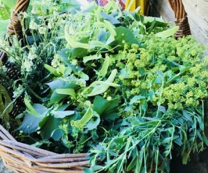 Wianki w Oktawę Bożego Ciała Wianki w Oktawę Bożego Ciała