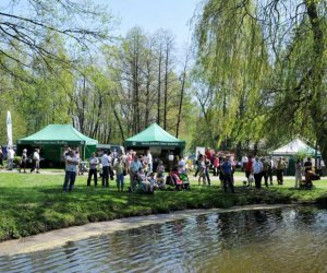 XIV Jarmark Św. Wojciecha i Festyn Leśny XIV Jarmark Św. Wojciecha i Festyn Leśny