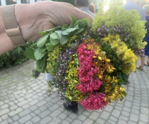 NIECOdziennik Muzealny - Żywa tradycja