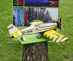 JARMARK ŚW. WOJCIECHA