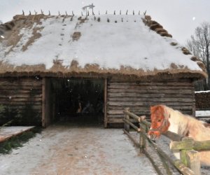 Szopka bożonarodzeniowa