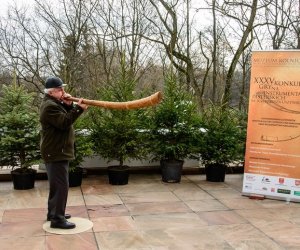 Galeria z 5 grudnia 2015