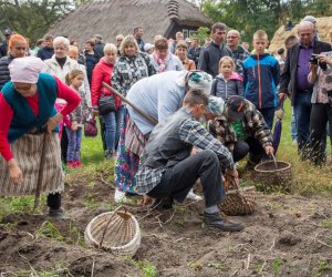 Jesień w Polu i Zagrodzie 2018 - fotorelacja Jesień w Polu i Zagrodzie 2018 - fotorelacja
