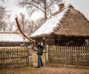 Galeria z 6 grudnia 2014