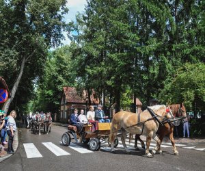 X Zajazd Wysokomazowiecki - fotorelacja X Zajazd Wysokomazowiecki - fotorelacja