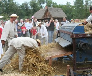 VI Podlaskie Święto Chleba
