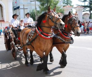 IX Podlaskie Święto Chleba