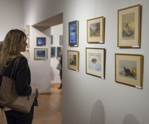 Fotorelacja z wernisażu "Pastelowe wspomnienia: mój makro- i mikroświat" Fotorelacja z wernisażu "Pastelowe wspomnienia: mój makro- i mikroświat"