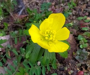 Codziennik Muzealny - Wiosna już zawitała Codziennik Muzealny - Wiosna już zawitała