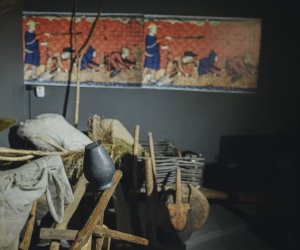 Jubileusz 55-lecia Muzeum Rolnictwa w Ciechanowcu - fotorelacja Jubileusz 55-lecia Muzeum Rolnictwa w Ciechanowcu - fotorelacja