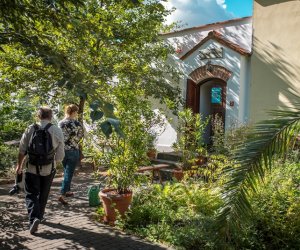 EDD 2018 w Muzeum Rolnictwa w Ciechanowcu - fotorelacja EDD 2018 w Muzeum Rolnictwa w Ciechanowcu - fotorelacja