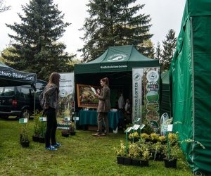 Jarmark św. Wojciecha i Święto Lasu Jarmark św. Wojciecha i Święto Lasu