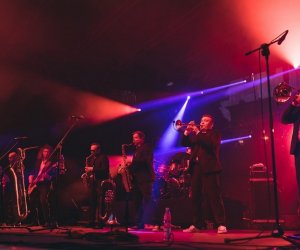 XVII Podlaskie Święto Chleba - fotorelacja XVII Podlaskie Święto Chleba - fotorelacja