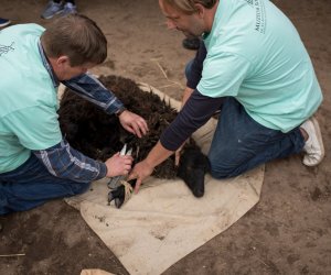 Impreza plenerowa - Jesień w Polu i Zagrodzie