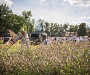 XVIII Podlaskie Święto Chleba - fotorelacja XVIII Podlaskie Święto Chleba - fotorelacja