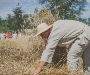 XV Podlaskie Święta Chleba w Muzeum Rolnictwa im. ks. Krzysztofa Kluka w Ciechanowcu XV Podlaskie Święta Chleba w Muzeum Rolnictwa im. ks. Krzysztofa Kluka w Ciechanowcu