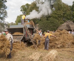 XVI Podlaskie Święto Chleba