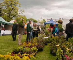 Jarmark Św. Wojciecha i Festyn Leśny 2014 Jarmark Św. Wojciecha i Festyn Leśny 2014