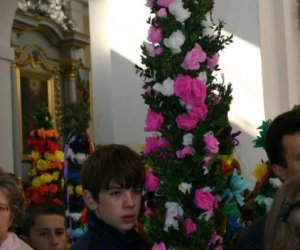 Galeria - Niedziela Palmowa 2007 Galeria - Niedziela Palmowa 2007