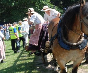 IX Podlaskie Święto Chleba IX Podlaskie Święto Chleba