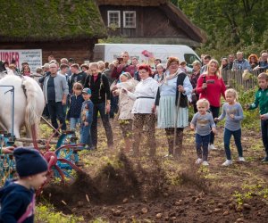 Impreza plenerowa - Jesień w Polu i Zagrodzie
