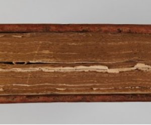 Przeprowadzenie prac konserwatorskich starodruków ze zbiorów działu weterynarii