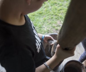 Jesień w polu i zagrodzie 2021 - fotorelacja Jesień w polu i zagrodzie 2021 - fotorelacja