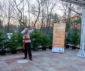 Galeria z 5 grudnia 2015