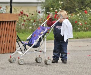 Wykopki w skansenie podsumowanie, fotorelacja. Wykopki w skansenie podsumowanie, fotorelacja.