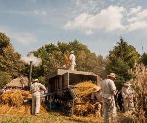 Święto Chleba po raz trzynasty