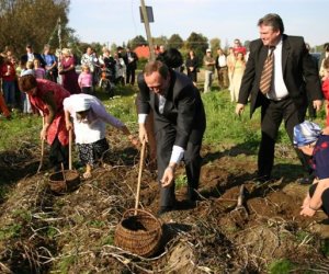 "Wykopki pod Wiatrakiem" - relacja