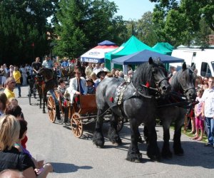 IX Podlaskie Święto Chleba IX Podlaskie Święto Chleba