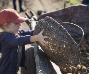 Jesień w polu i zagrodzie 2021 - fotorelacja Jesień w polu i zagrodzie 2021 - fotorelacja