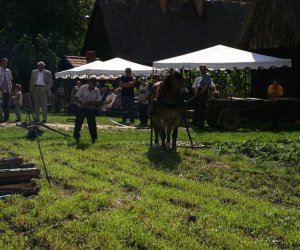 Wykopki w skansenie 2009