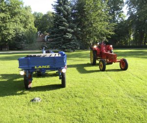 Wyglądają przepięknie