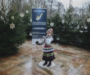 Ligawki 2017 - fotorelacja Ligawki 2017 - fotorelacja