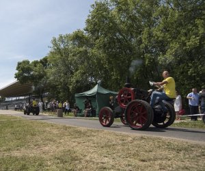 Piknik "Poznaj Zdrową Żywność" - fotorelacja Piknik "Poznaj Zdrową Żywność" - fotorelacja