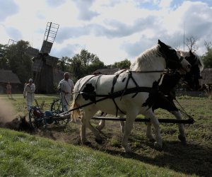 DZIAŁ ETNOGRAFICZNY DZIAŁ ETNOGRAFICZNY