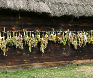 VII PODLASKIE ŚWIĘTO CHLEBA