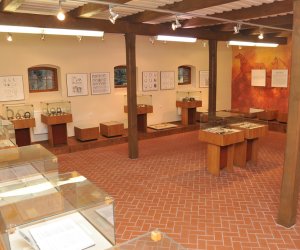 Odnowiona ekspozycja Muzeum Weterynarii Odnowiona ekspozycja Muzeum Weterynarii