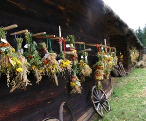 VIII PODLASKIE ŚWIĘTO CHLEBA VIII PODLASKIE ŚWIĘTO CHLEBA