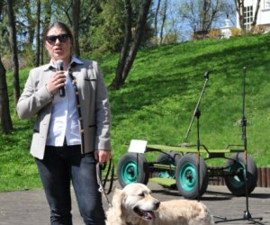 XIV Jarmark Św. Wojciecha i Festyn Leśny XIV Jarmark Św. Wojciecha i Festyn Leśny