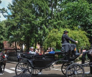 X Zajazd Wysokomazowiecki - fotorelacja