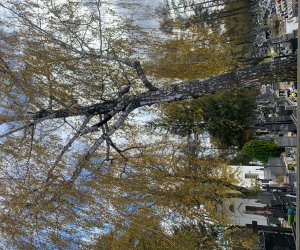 NIECOdziennik Muzealny - Ogrody Wiecznej Pamięci NIECOdziennik Muzealny - Ogrody Wiecznej Pamięci