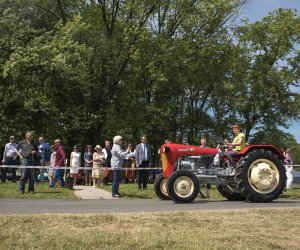 Piknik "Poznaj Zdrową Żywność" - fotorelacja Piknik "Poznaj Zdrową Żywność" - fotorelacja