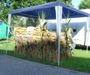 IX Podlaskie Święto Chleba IX Podlaskie Święto Chleba