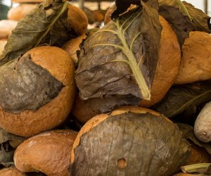 XIX Podlaskie Święto Chleba - fotorelacja