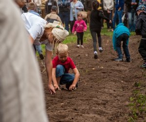 Jesień w polu i zagrodzie